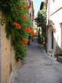  Provence - Photo Nr: 1036