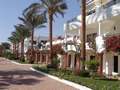  Sharm el Sheikh - Photo Nr: 1053