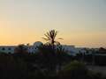  Djerba - Photo Nr: 1002