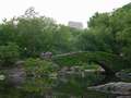  New York - Photo Nr: 1025