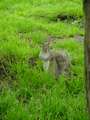  New York - Photo Nr: 1026