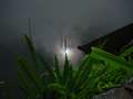  New York - Photo Nr: 1028
