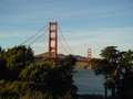  West Coast - Photo Nr: 1010