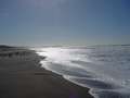  West Coast - Photo Nr: 1018
