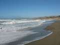  West Coast - Photo Nr: 1019