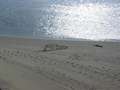  West Coast - Photo Nr: 1020