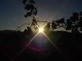  West Coast - Photo Nr: 1024