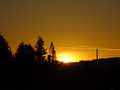  West Coast - Photo Nr: 1025