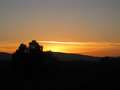  West Coast - Photo Nr: 1026