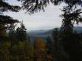  West Coast - Photo Nr: 1029