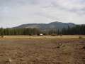  West Coast - Photo Nr: 1030