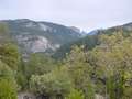  West Coast - Photo Nr: 1035