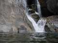  West Coast - Photo Nr: 1036