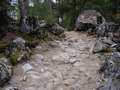  West Coast - Photo Nr: 1038