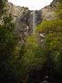  West Coast - Photo Nr: 1043