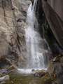  West Coast - Photo Nr: 1044