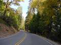  West Coast - Photo Nr: 1047