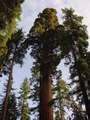  West Coast - Photo Nr: 1048