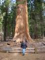  West Coast - Photo Nr: 1049