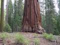  West Coast - Photo Nr: 1050