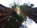  West Coast - Photo Nr: 1051