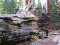  West Coast - Photo Nr: 1052