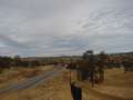  West Coast - Photo Nr: 1053