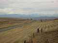  West Coast - Photo Nr: 1055