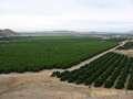  West Coast - Photo Nr: 1056