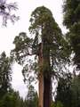  West Coast - Photo Nr: 1057
