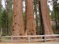  West Coast - Photo Nr: 1058