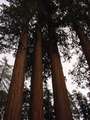  West Coast - Photo Nr: 1059