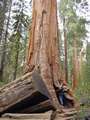  West Coast - Photo Nr: 1060