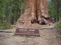  West Coast - Photo Nr: 1062