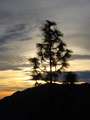  West Coast - Photo Nr: 1065