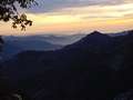  West Coast - Photo Nr: 1066