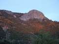  West Coast - Photo Nr: 1069