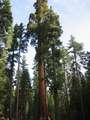  West Coast - Photo Nr: 1070