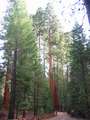  West Coast - Photo Nr: 1071