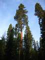  West Coast - Photo Nr: 1072