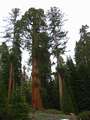  West Coast - Photo Nr: 1073