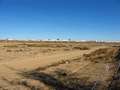  West Coast - Photo Nr: 1075