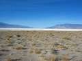  West Coast - Photo Nr: 1083
