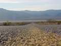  West Coast - Photo Nr: 1092