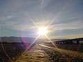  West Coast - Photo Nr: 1093