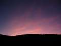 West Coast - Photo Nr: 1096