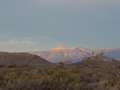  West Coast - Photo Nr: 1108