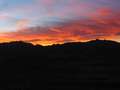  West Coast - Photo Nr: 1114