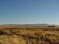  West Coast - Photo Nr: 1115