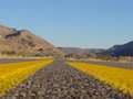  West Coast - Photo Nr: 1116